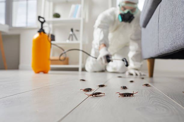 Commercial Kitchen Cockroach Control in Middlesborough